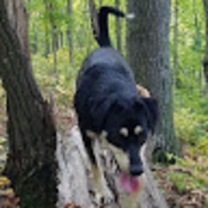 Meet your Posher, Georgia